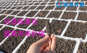 大家都用重量分揀機分選海參了！您還在用人工分選嗎？