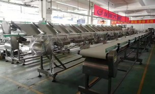 海參捕撈季將至，海參重量大小自動分級秤正緊密備貨中