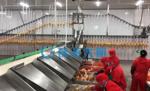 復工后禽肉屠宰加工產量提不上去？快用珠海大航重量分選機