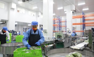 蔬菜配重機：解決人工成本與效率問題，助力蔬菜加工發展
