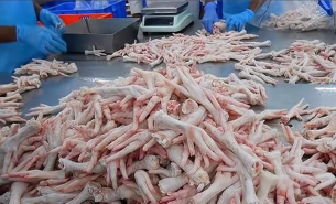 探索珠海大航雞爪重量分選機在禽肉分割產品重量分選中的創新應用